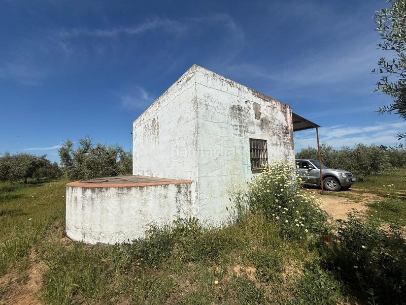 Foto c61b8e43-e320-4b57-a9fe-17cec71ecd60. Finca rústica a Aznalcázar