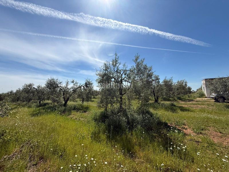 Foto dd321c20-edc9-4225-bf72-fd5c592668a5. Finca rústica a Aznalcázar