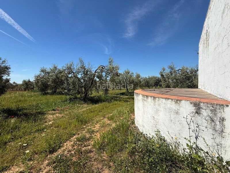 Foto e7420511-6ef3-4ec3-b0b0-5ec64aa33b7d. Finca rústica a Aznalcázar