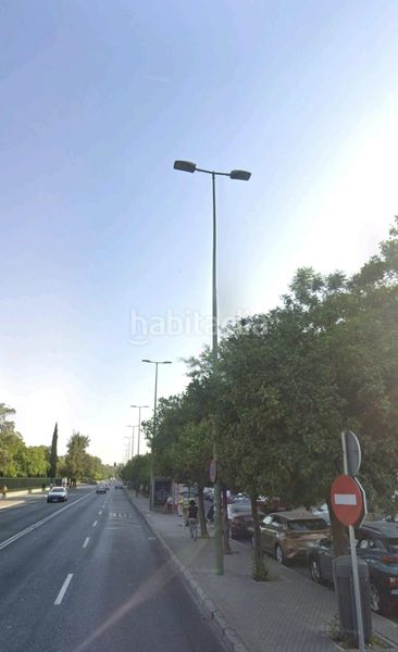 Foto 6569d7f7-a145-4780-b366-067d32f10286. Pis a La Oliva Sevilla