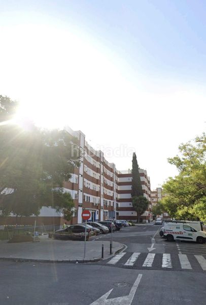 Foto 84b3f47c-b25e-4dea-881e-ba871459b04d. Pis a La Oliva Sevilla
