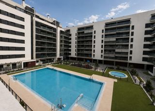 Flat  Plaza antinoo