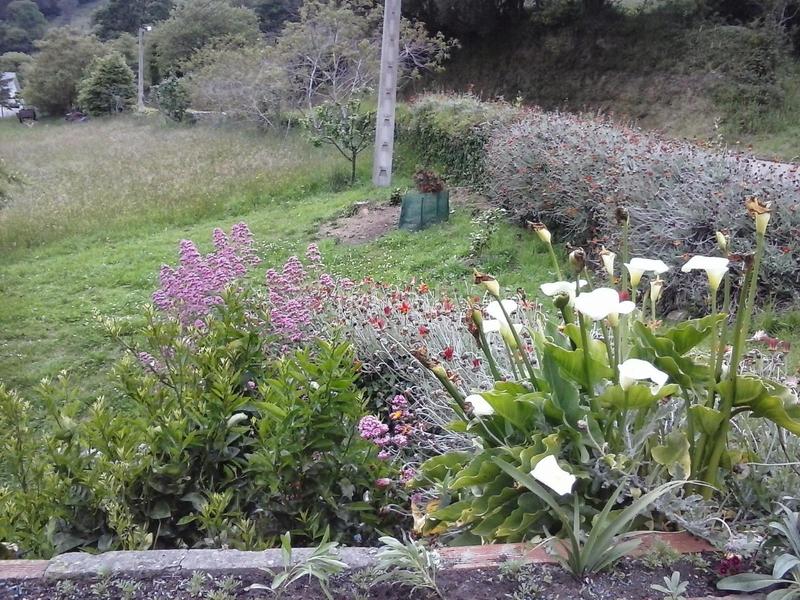 Foto ee0e1f70-acb9-4d7a-9259-fba4319f5f1f. Casa con parcheggio in Franco (El)