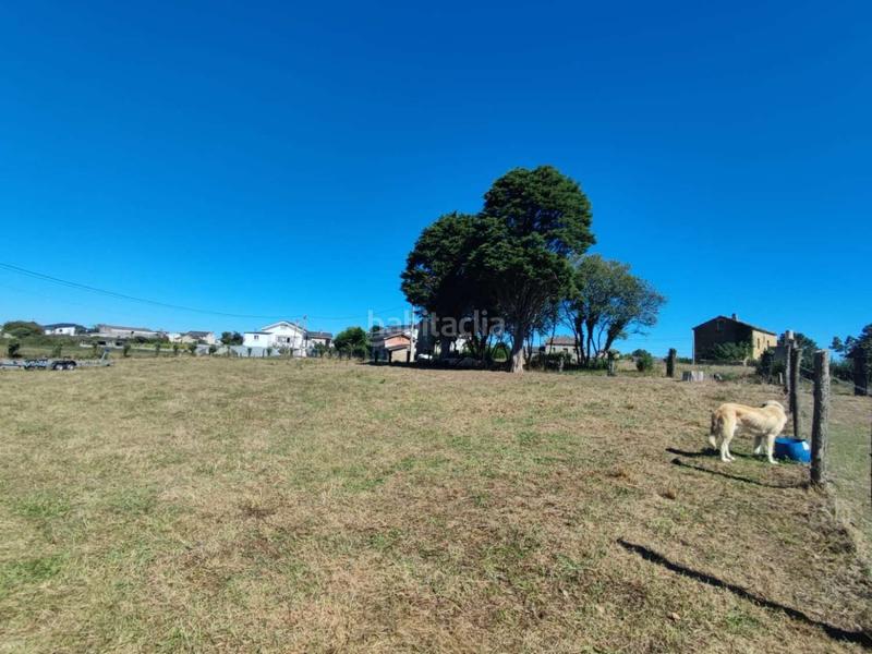 Foto 3cd52f5e-9a2a-4cc6-bb3e-ecacd2edbf20. Terreny residencial a Franco (El)