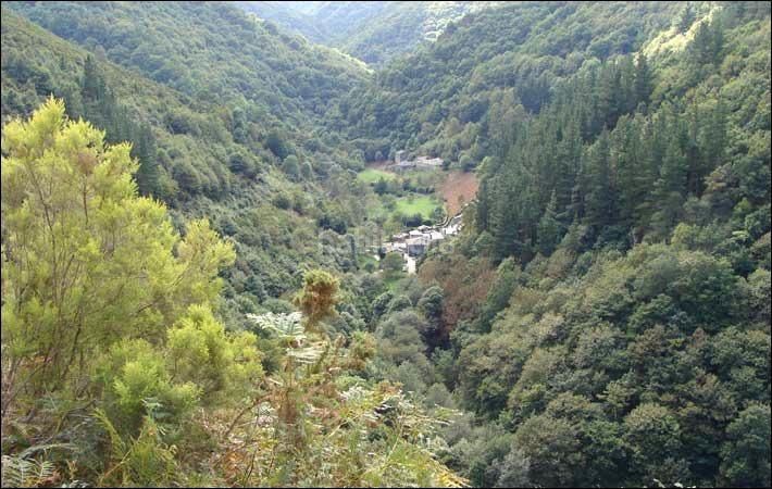 Foto a55bfa84-7ea4-4659-a87e-719c8340efcd. Casa amb aparcament a Vegadeo