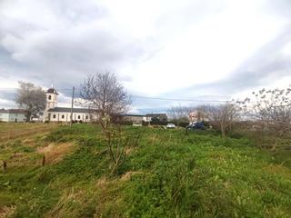 Terreny residencial  Tol. Parcela en tol, castropol