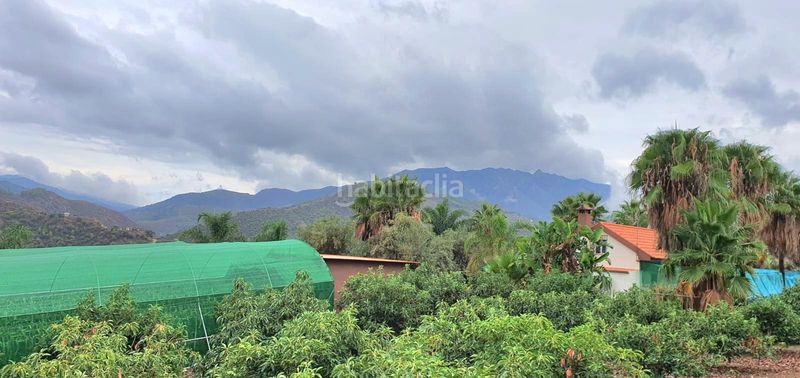 Foto c0be78ae-89d0-4454-9b4d-b0bfe3a09d17. Casa a Guaro
