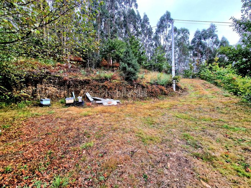 Foto 8d34c5c8-50af-4511-b1ab-e09f1e1604a3. Casa amb aparcament a Ribadeo