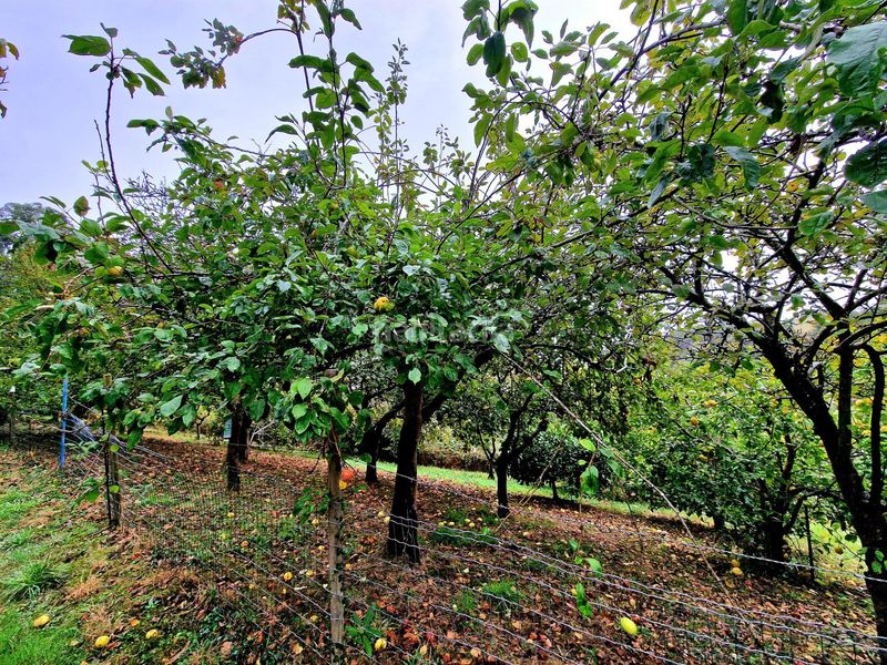 Foto b1dab8c7-7a31-4eea-8152-40e3206830b2. Casa amb aparcament a Ribadeo