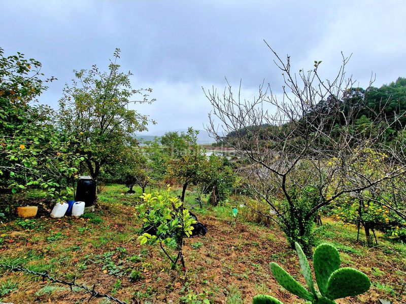 Foto fe531679-b40c-4d6c-92d4-1a67446ca64b. Casa amb aparcament a Ribadeo