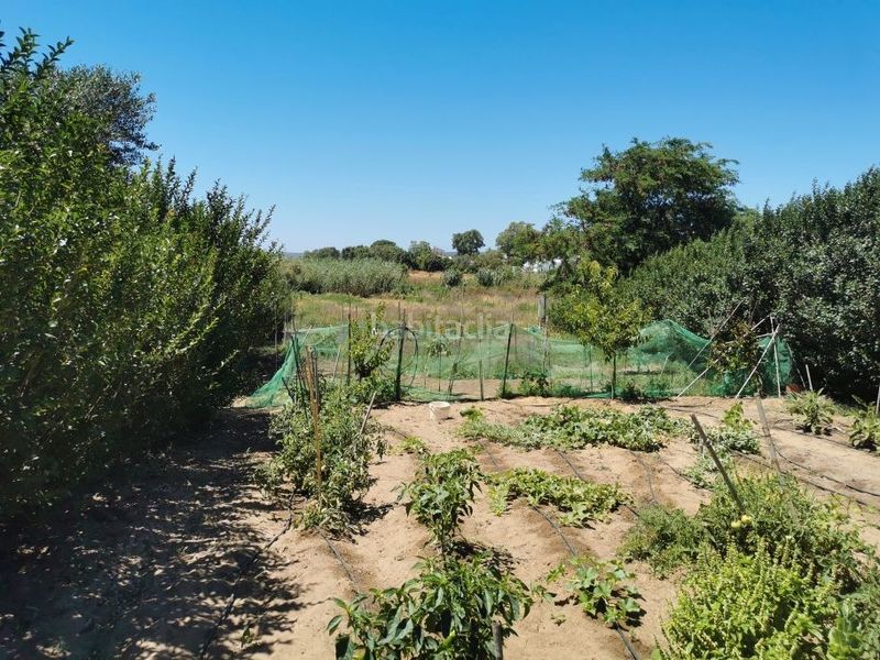 Foto 838c1938-0fd1-4a88-99a1-93ebcacd4c08. Xalet amb aparcament a Barbate Barbate