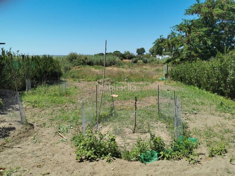 Foto cf61ca64-642a-4fdf-8c1d-693ae02256dd. Xalet amb aparcament a Barbate Barbate