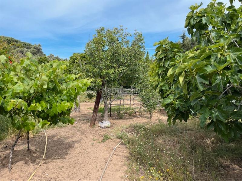 Foto 570c2c9c-1c1b-492d-a533-c79a46e022c4. Propriété dans Zafra