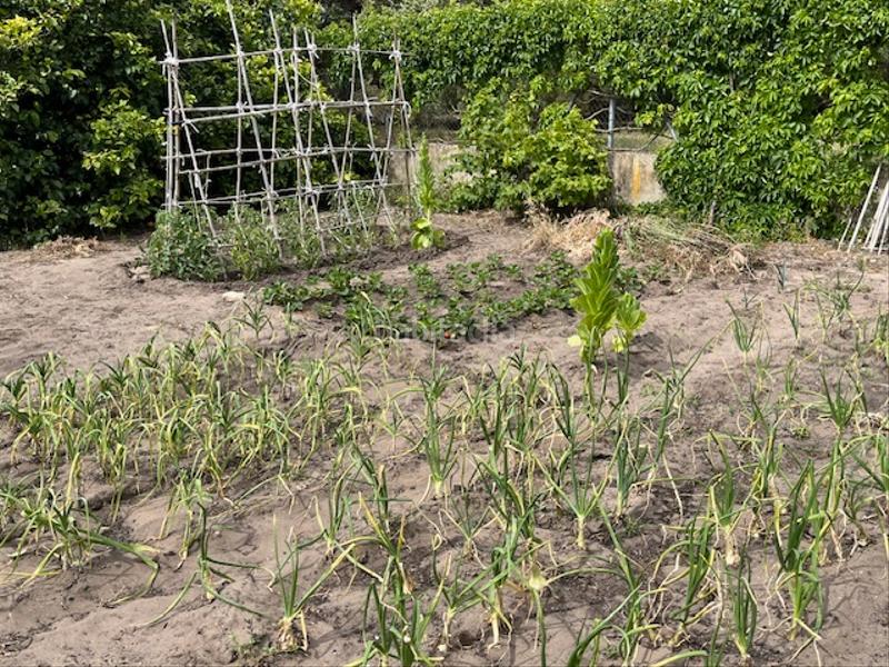 Foto 58009ae7-9c09-437d-91b6-9456f54d2207. Propriété dans Zafra