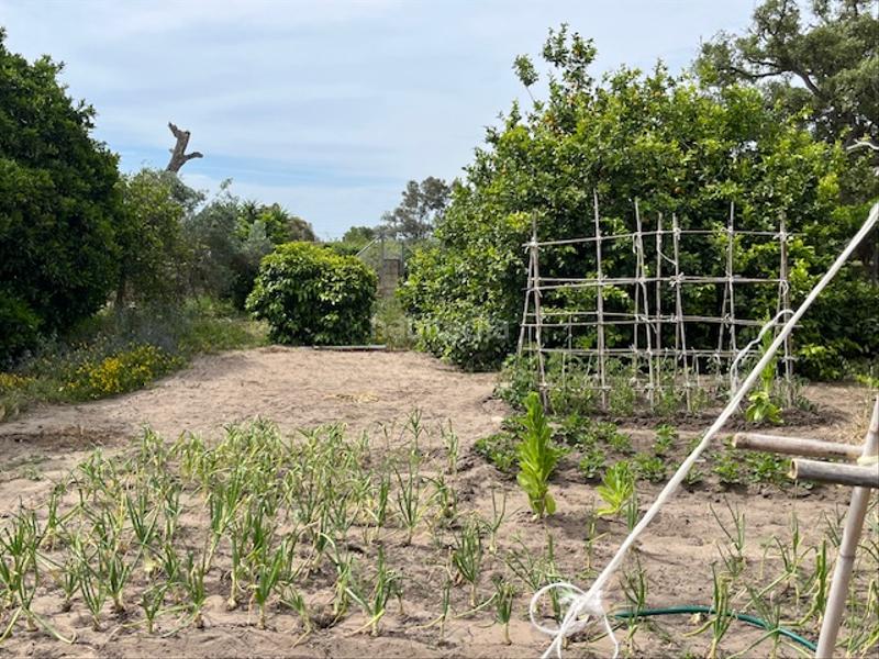 Foto 5bafea03-29e3-4a6e-923d-e29ef7816352. Propriété dans Zafra