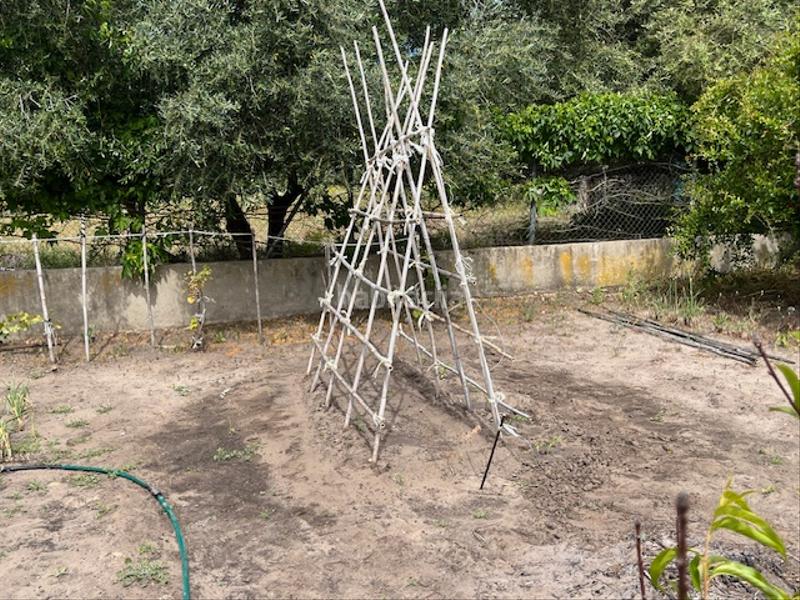 Foto 7103e166-f7ed-4003-97ed-87f3884cbeea. Propriété dans Zafra