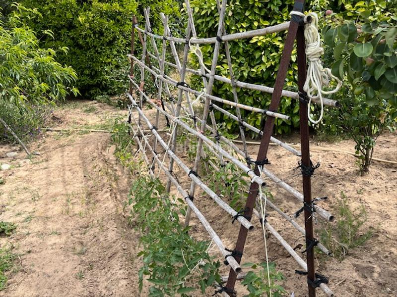 Foto 79fefbd7-3124-4a9f-8472-e2d33a9e0a61. Propriété dans Zafra