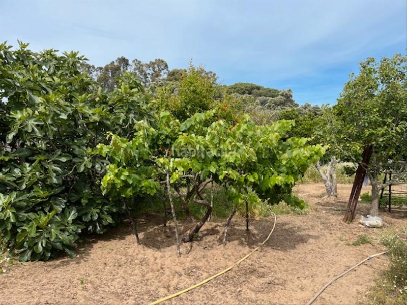 Foto a7d7b091-46e3-4097-a048-efb7c827cd82. Propriété dans Zafra