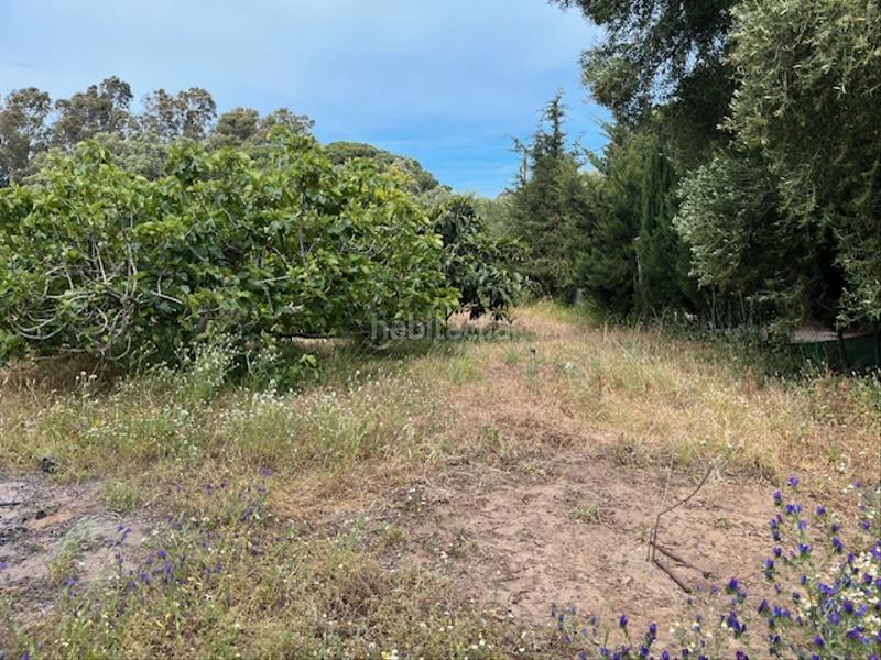 Foto d82f7611-288e-4721-9611-a028c68a6daa. Propriété dans Zafra