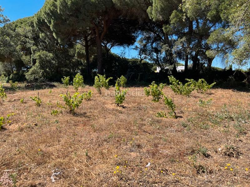 Foto 0ca4f38b-f422-4ace-bf45-5fc410924718. Mas dans Vejer Vejer de la Frontera