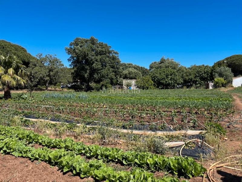 Foto 2707cf4d-71ba-43ab-ad95-acb1fcca91fe. Mas dans Vejer Vejer de la Frontera