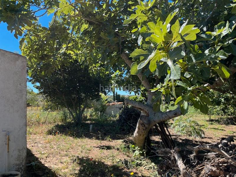 Foto 29521412-10b9-42dc-91b7-31c337e17d3b. Mas dans Vejer Vejer de la Frontera