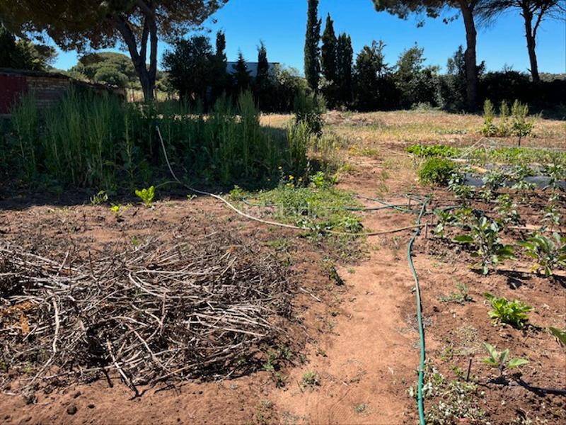 Foto 3096f6a8-ed0f-4126-87ae-bd80a50d67cc. Mas dans Vejer Vejer de la Frontera