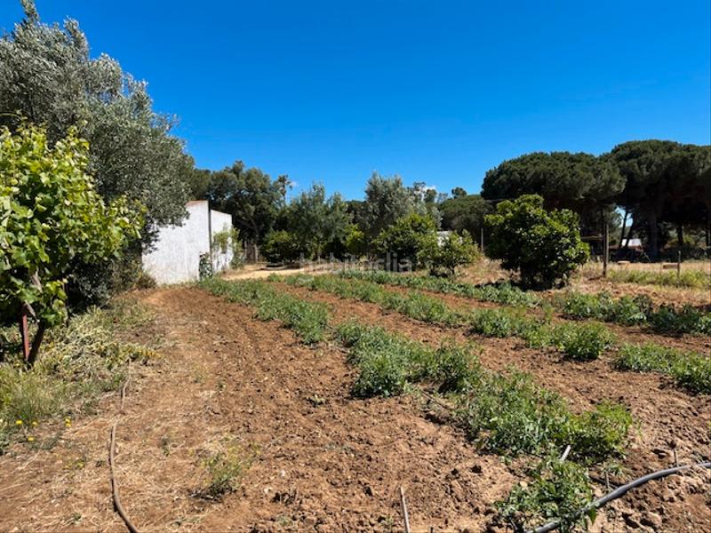 Foto 50817414-716e-4604-adec-b8bdeb00f9e7. Mas dans Vejer Vejer de la Frontera