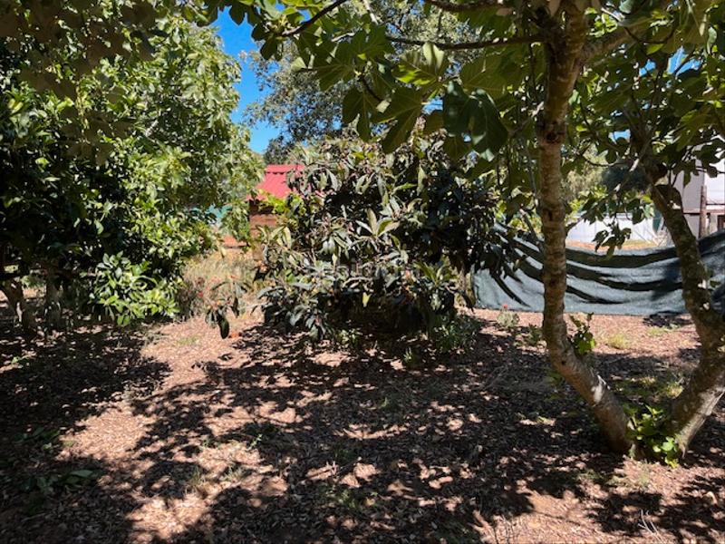 Foto 52e295bd-2fb4-43fe-a0dc-67a8562d6f49. Mas dans Vejer Vejer de la Frontera