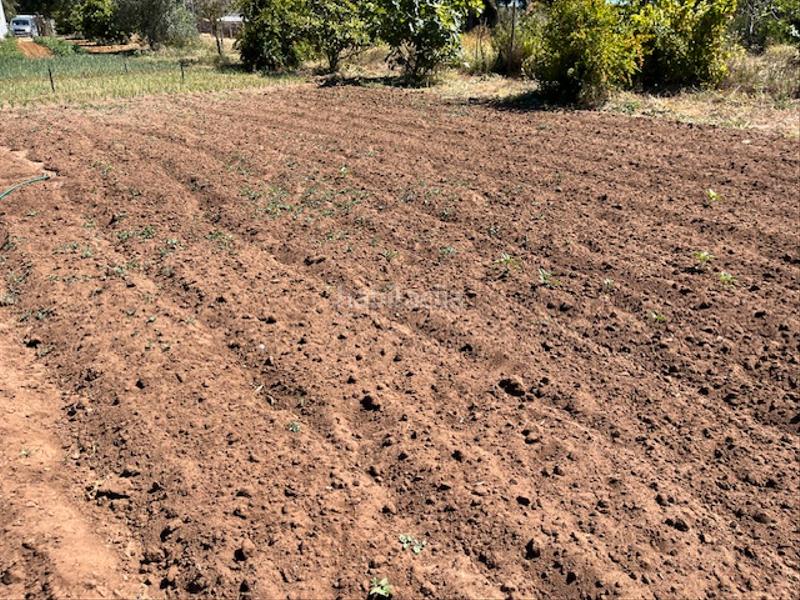 Foto 5e264838-4c32-4fcc-a870-a267e1335ff1. Mas dans Vejer Vejer de la Frontera