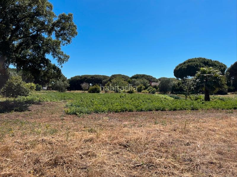 Foto 738d4dd6-7415-4bc8-a7b5-b9d4e3b8c8b7. Mas dans Vejer Vejer de la Frontera