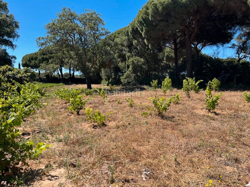 Foto 77d53d5b-5281-4eee-a952-985aa5441c6e. Mas dans Vejer Vejer de la Frontera