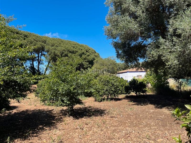 Foto ade911a3-9177-4d59-8976-fcc8b37d76cd. Mas dans Vejer Vejer de la Frontera