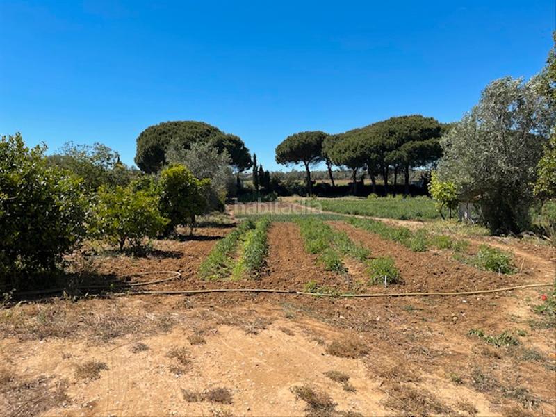 Foto c73509f7-b526-4ecf-bff5-c6ed807fb1ba. Mas dans Vejer Vejer de la Frontera