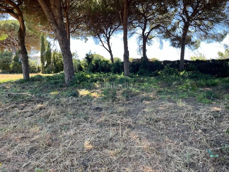 Foto c9ef9b28-cc91-401e-829c-e444ca38399e. Mas dans Vejer Vejer de la Frontera