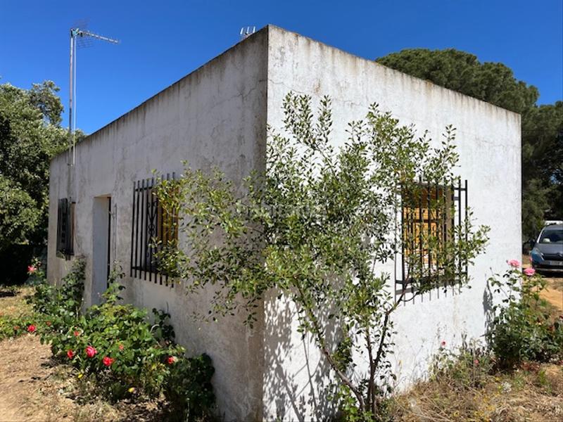 Foto ca88b39f-189e-4b93-81a8-c0e0c73ef417. Mas dans Vejer Vejer de la Frontera