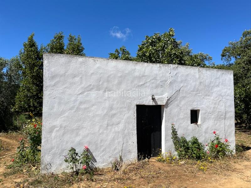 Foto d7aba9ee-845c-4f09-af18-4387c9d761c3. Mas dans Vejer Vejer de la Frontera
