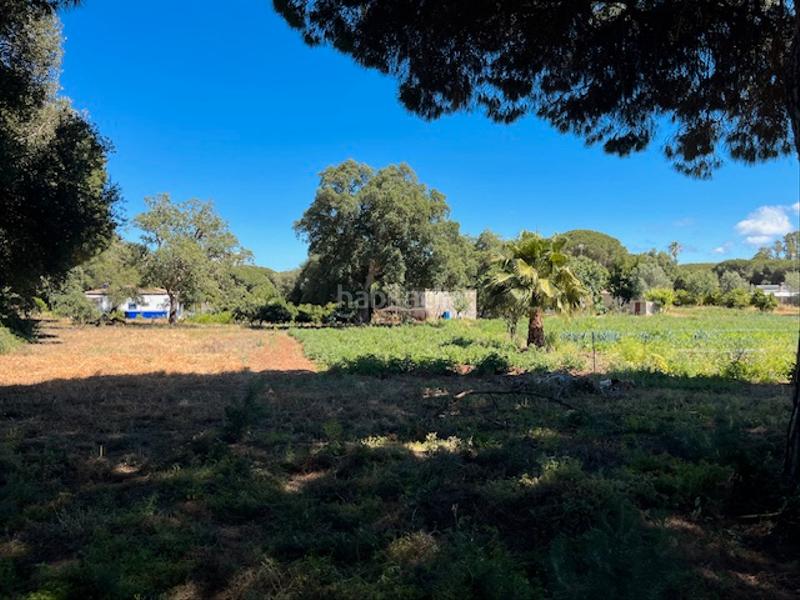 Foto e1f018a6-d410-4225-bdac-ff988a1f956f. Mas dans Vejer Vejer de la Frontera