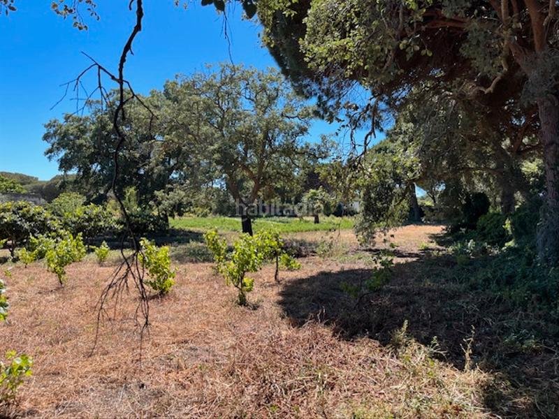 Foto e320fd3a-1e3b-4e18-89db-0c1c582174e8. Mas dans Vejer Vejer de la Frontera