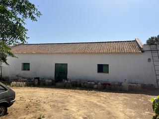 Finca rústica a Vejer. Finca con mucho encanto rodeando a un cortijo andaluz