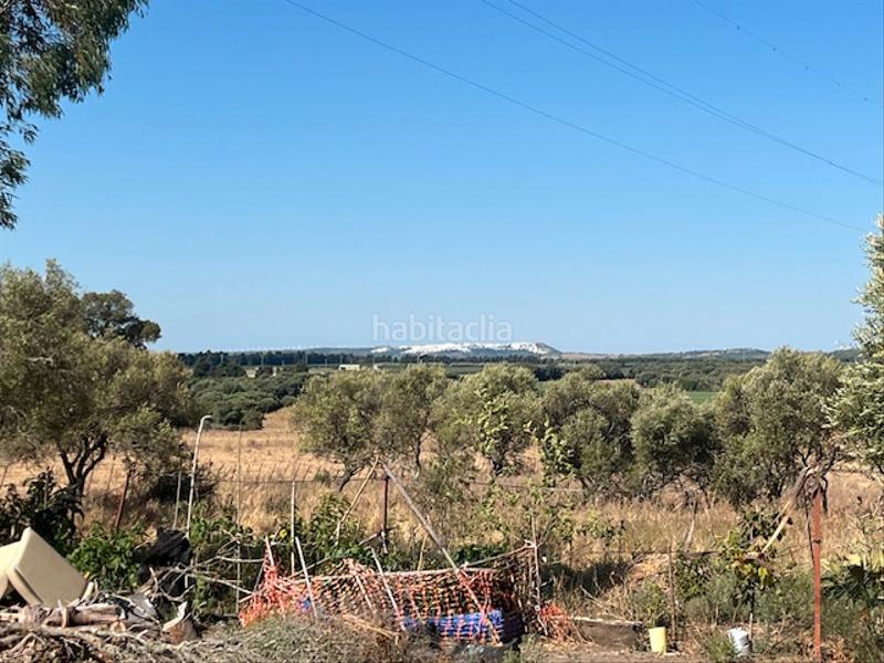 Foto c6198853-f03b-4c5f-860e-577c4524f2eb. Bauernhof in Vejer Vejer de la Frontera