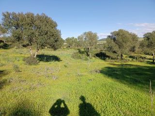 Landgut in Vejer. Preciosa finca rústica a tan sólo diez minutos del mar, preciosa
