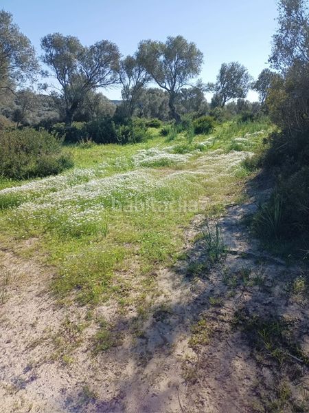 Foto 45be7e28-e45a-499d-b276-71a1e6dee994. Finca rústica a Vejer Vejer de la Frontera