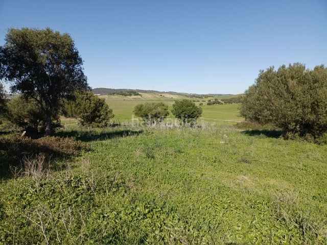 Foto 4e8e963e-91b4-4758-a0e1-5563b809b7d7. Finca rústica a Vejer Vejer de la Frontera