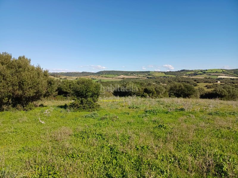 Foto 9db7b5b2-e9e4-4ea1-ad22-11d52332fe68. Finca rústica a Vejer Vejer de la Frontera