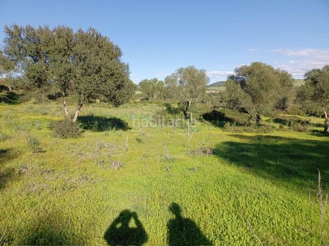 Foto e0bde726-8a0f-4e91-a506-812153e93fe9. Finca rústica a Vejer Vejer de la Frontera