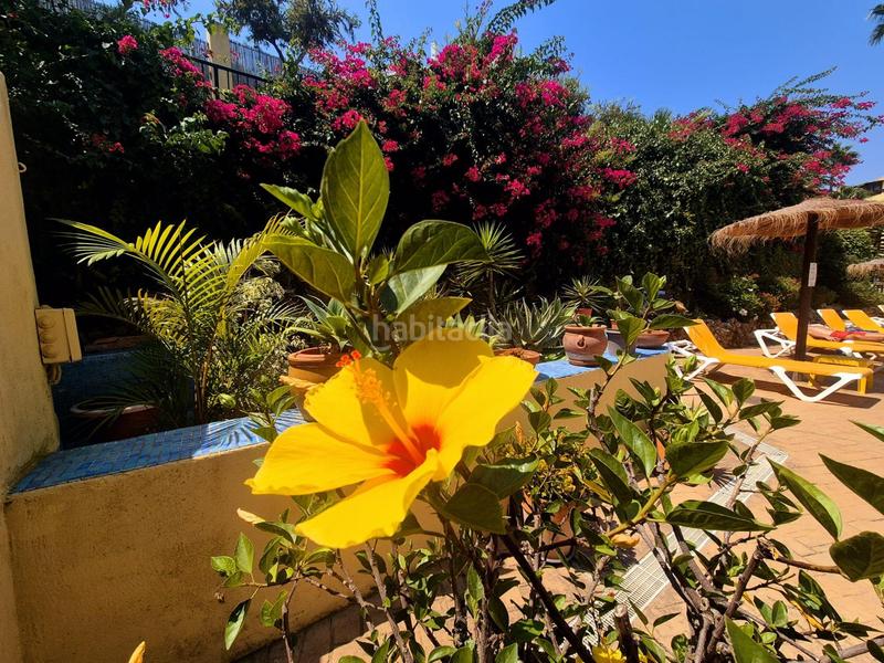 Foto f0961875-120b-4ebf-9a1f-c9133ed40ebd. Dachwohnung mit pool in Riviera del Sol Mijas