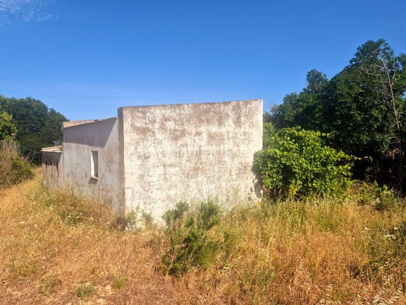 Foto cbd34a59-4625-4ed2-9b33-cb55e53836fc. Finca rústica a Vejer Vejer de la Frontera