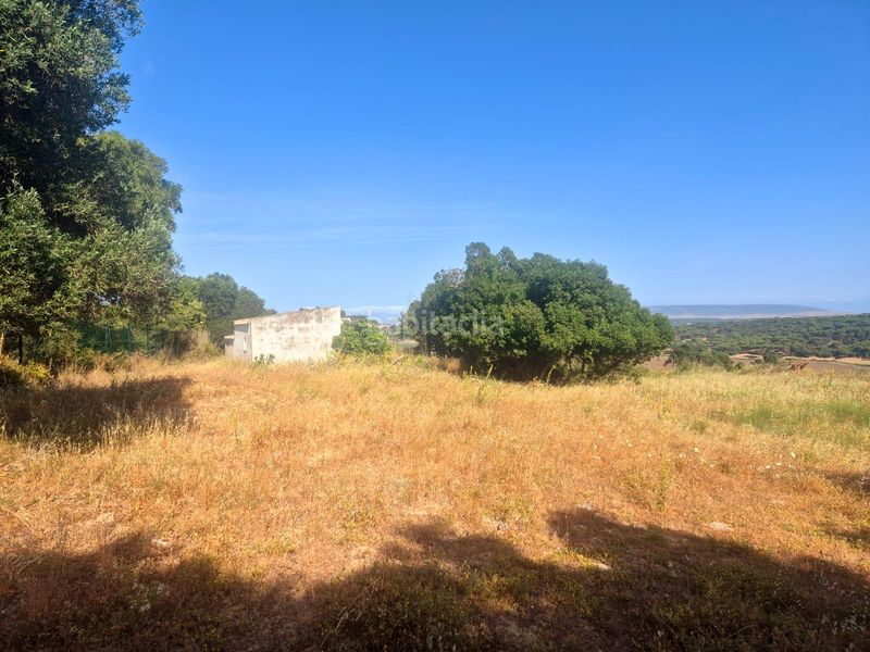 Foto decde09c-de3f-4d1f-8b9d-5b3ce90b3ea2. Finca rústica a Vejer Vejer de la Frontera