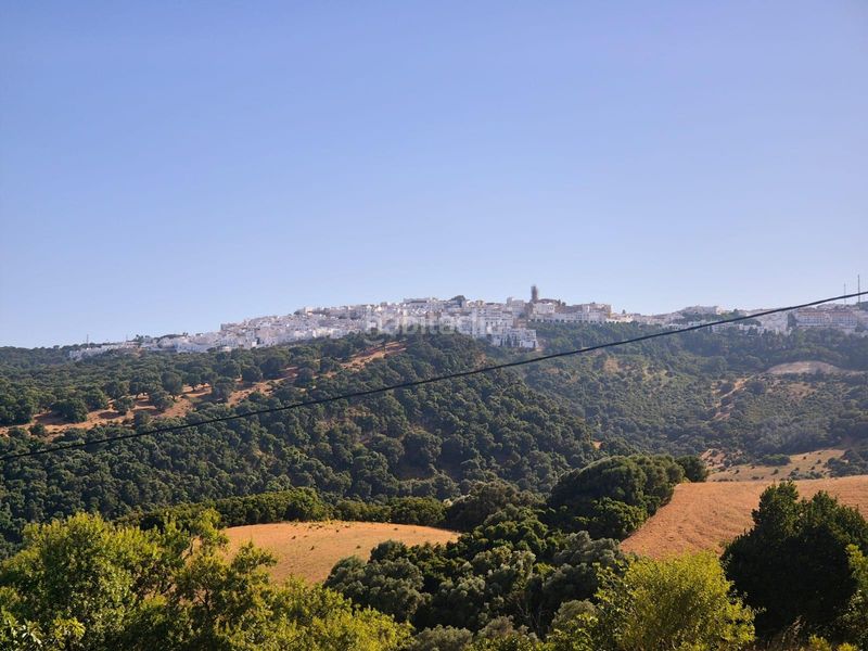 Foto dede7f53-7c4d-47c5-8303-cb1ce5eb4b3a. Finca rústica a Vejer Vejer de la Frontera